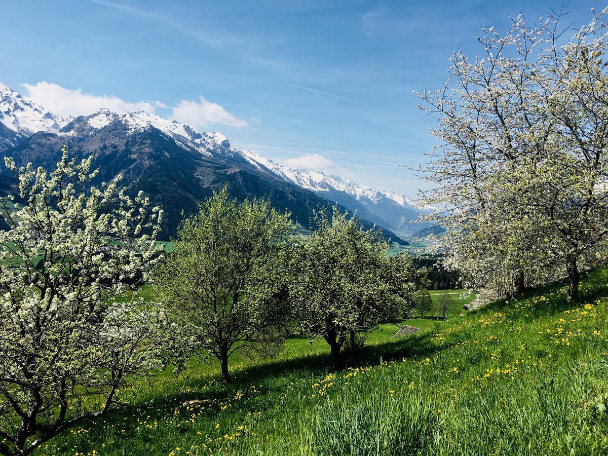 Untersteinhof Διαμέρισμα Mittersill Εξωτερικό φωτογραφία